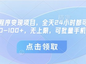 24小时微信小程序变现项目：单机日赚30-100+，无上限可批量放大-54创业网