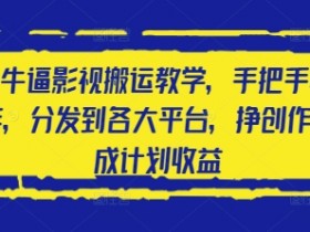 2025影视搬运赚钱教程：手把手教你搬运视频到各大平台赚创作者分成-54创业网