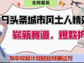 城市人文赛道：制造对立引粉丝站队，发中视频计划月入1W+-54创业网