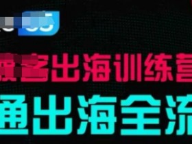 出海训练营基础课：实战案例拆解，轻松跑通海外全流程-54创业网