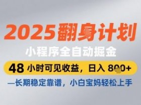 2025小程序自动掘金：48小时见效日赚800元，宝妈兼职首选长期稳定项目-54创业网