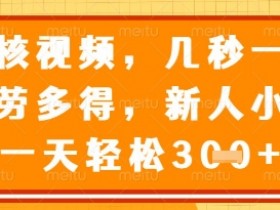 揭秘视频审核员兼职：几秒一单日赚几张？不限时间地点新手可做-54创业网