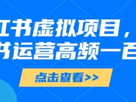 小红书运营100问：虚拟项目高频问题文档，新手必看攻略-54创业网
