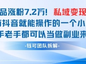 抖音私域运营秘籍：23条作品狂吸7.2W粉，私域变现轻松破1W-54创业网