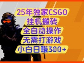 25年CSGO挂G搬砖全自动赚钱：小白日入3张+，无需打游戏【揭秘】-54创业网
