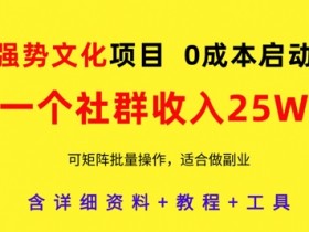 0成本启动强势文化项目：社群月入25W+，矩阵批量实操教程-54创业网