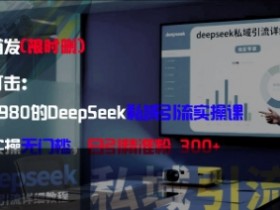 DeepSeek私域引流课：3980元实操教学，小白日引300+精准粉，无门槛速成-54创业网