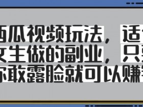 女生副业赚钱：西瓜视频露脸玩法，轻松赚取收益-54创业网
