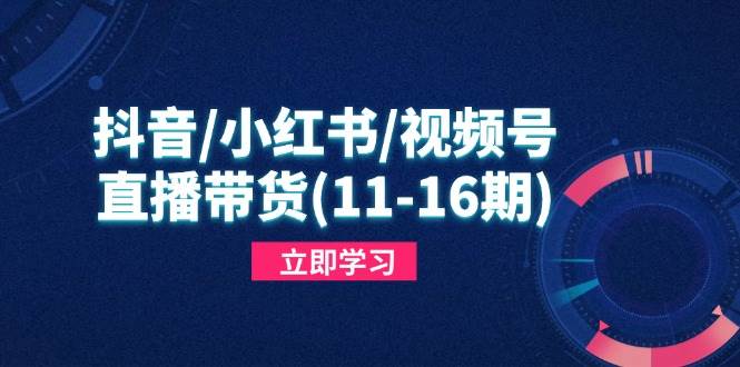 直播带货秘籍：抖音小红书视频号爆款攻略，11-16期速成指南-54创业网