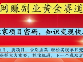 网创副业黄全赛道：单日变现1k+秘籍，知识变现快人一步，告别韭菜轻松赚钱-54创业网