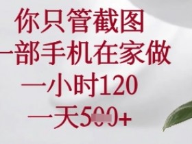 一部手机在家截图赚钱：轻松日赚600+，1小时120元秘诀大公开-54创业网