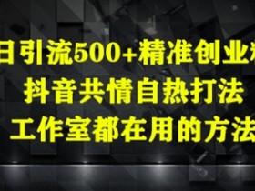 抖音创业粉引流秘籍：工作室都在用的共情自热打法，日吸500+精准粉-54创业网