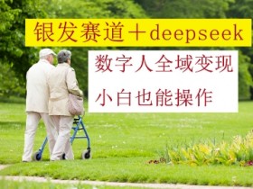 银发赛道赚钱秘籍：DeepSeek数字人全域变现攻略，新手3步上手-54创业网