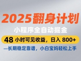 2025翻身计划：小程序全自动掘金48小时赚8张+，小白宝妈0门槛上手-54创业网