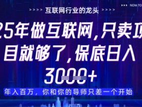 25年最新赚钱项目揭秘：卖项目才是稳赚不赔的暴利风口-54创业网