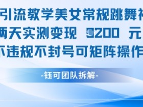 美女跳舞视频变现秘诀：男粉引流2天赚1K+，不封号矩阵玩法实测-54创业网