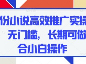 5月小说推广0成本实操：小白无门槛长期赚钱攻略-54创业网