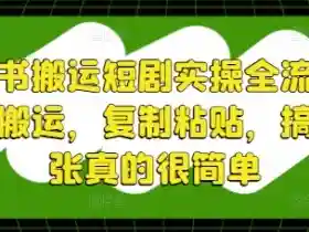 小红书短剧搬运教程：5步实操全流程，复制粘贴轻松赚钱-54创业网