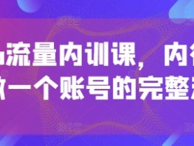 个人IP流量内训课：从0到1打造爆款账号全流程，内行人手把手教学-54创业网