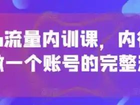 个人IP流量内训课：从0到1打造爆款账号全流程，内行人手把手教学-54创业网