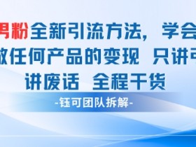 男粉引流变现秘籍：3步学会小红书男粉精准打法，轻松赚钱-54创业网