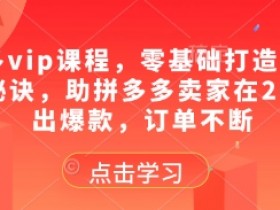 拼多多VIP课程：2025零基础开店爆款秘诀，订单不断稳赚秘籍-54创业网