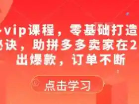 拼多多VIP课程：2025零基础开店爆款秘诀，订单不断稳赚秘籍-54创业网