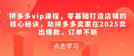 拼多多vip课程，零基础打造店铺的核心秘诀，助拼多多卖家在2025卖出爆款，订单不断