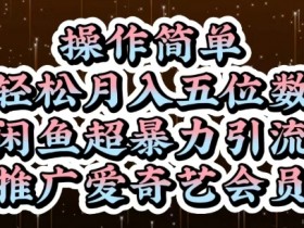 闲鱼超暴力引流推广爱奇艺会员：操作简单，轻松月入5位数-54创业网
