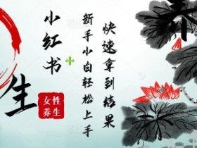 古韵养生爆款：Deepseek小红书女性养生秘籍，小白轻松制作快速见效-54创业网