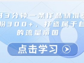 3分钟小红书精准引流300+创业粉：打造你的流量帝国-54创业网