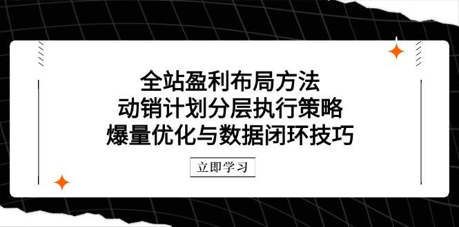 全站盈利布局：动销计划分层+爆量优化技巧，打造数据闭环提升销量-54创业网