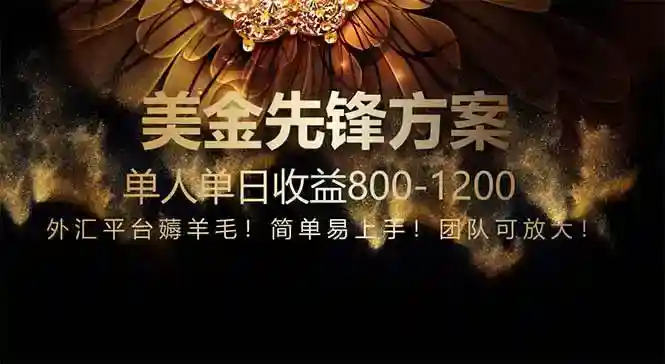 小众技术赛道免费布局：1年顶3年，轻松日赚800+-54创业网