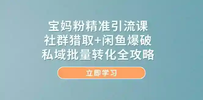 宝妈粉精准引流课：社群猎取+闲鱼爆破实战，私域批量转化全攻略-54创业网