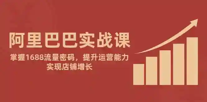 1688流量密码实战课：阿里巴巴运营技巧提升，快速实现店铺增长-54创业网